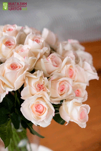 ���� ������������� �������-�������� ! 