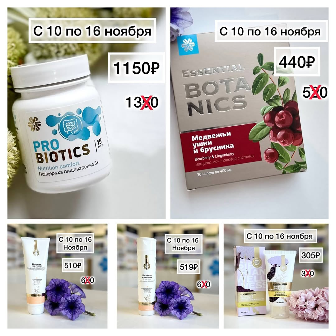 ����� ������ ����� �����