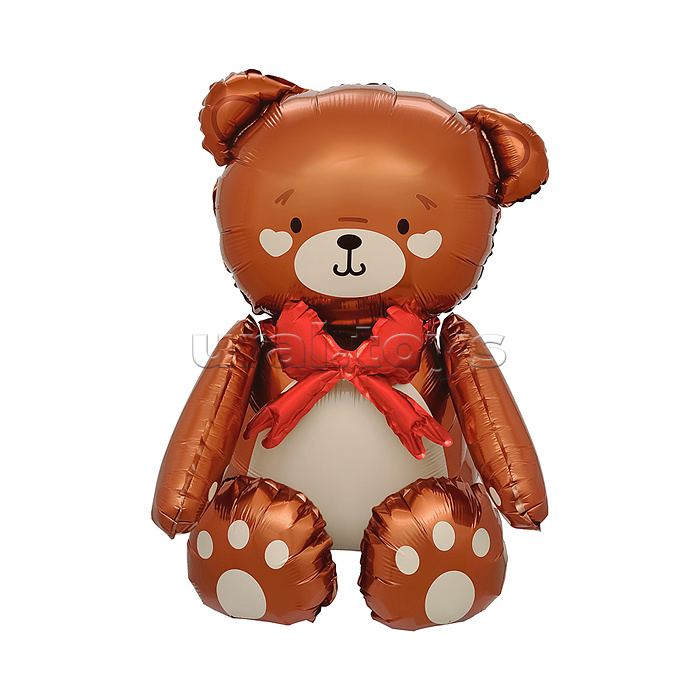 ������� ���� ��������������