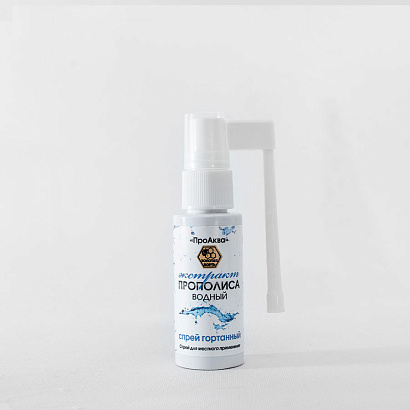 �������� ��������� ������ �������. ������������� ���: ���������; ���������� ������������ �����; ������������ ����; ��������; ������; ���������� � ��������� � ������� �������. ����� ������� ��������� � � ������������ �������� �����������.