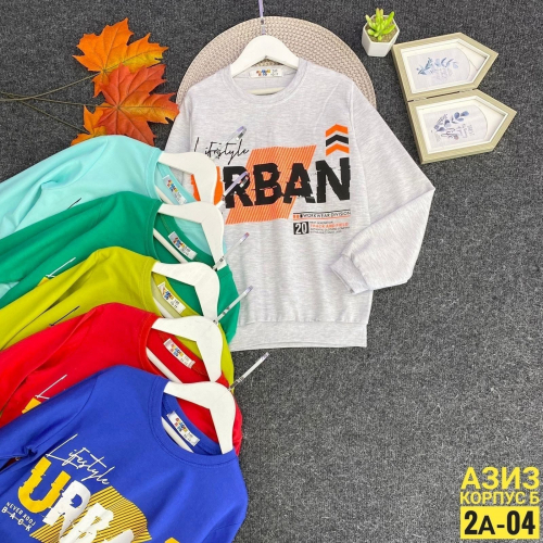 ���� ������� �������-23