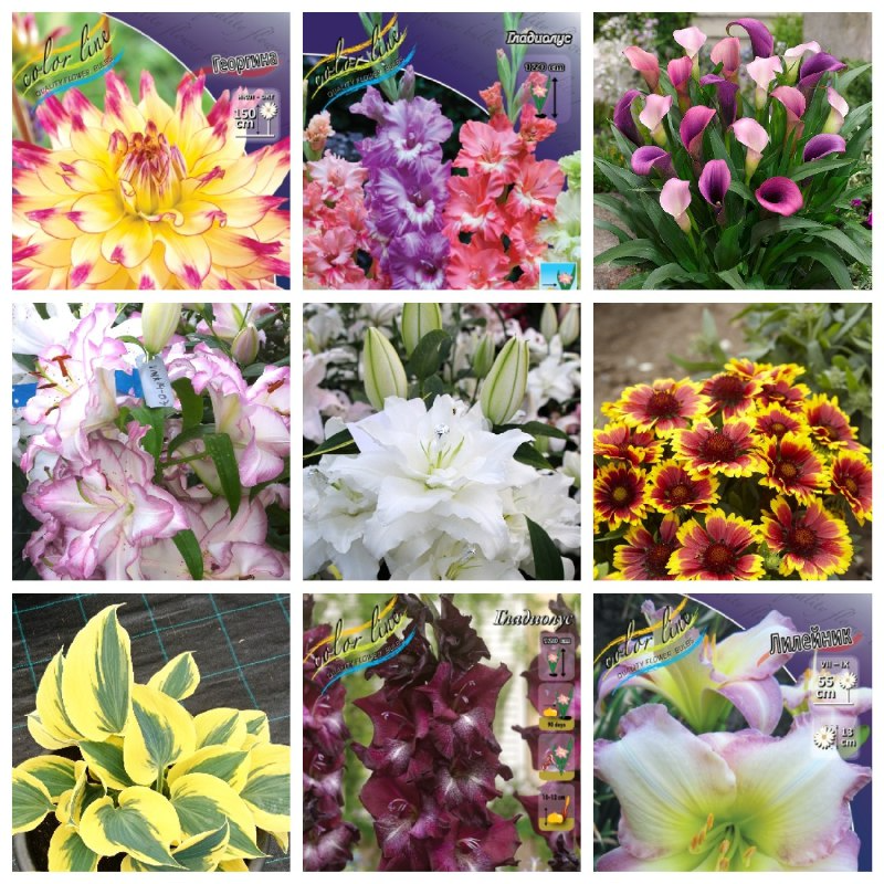 ���� �������. ���������� � ������������ ��������� ����� 2026(�� 23.11)