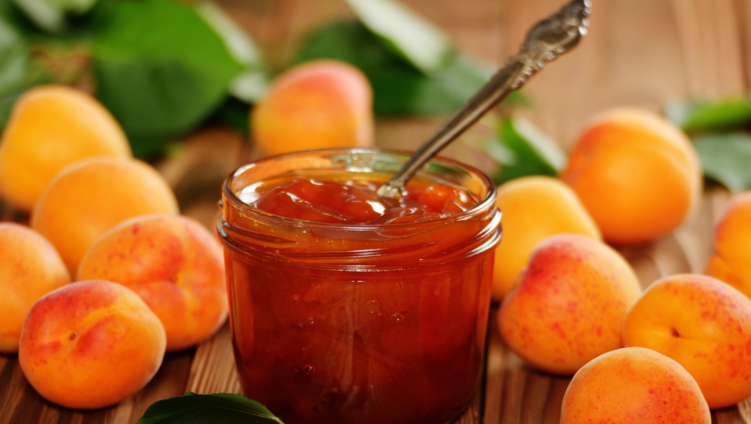 ����������� �������� - ����������� ��� ��������� � ��������, ����������-��������� ��������, �������, ��������, ������, �������, ����������� �������� � ���� ���������. ����...- ������ �����, ��� ������ � ����!