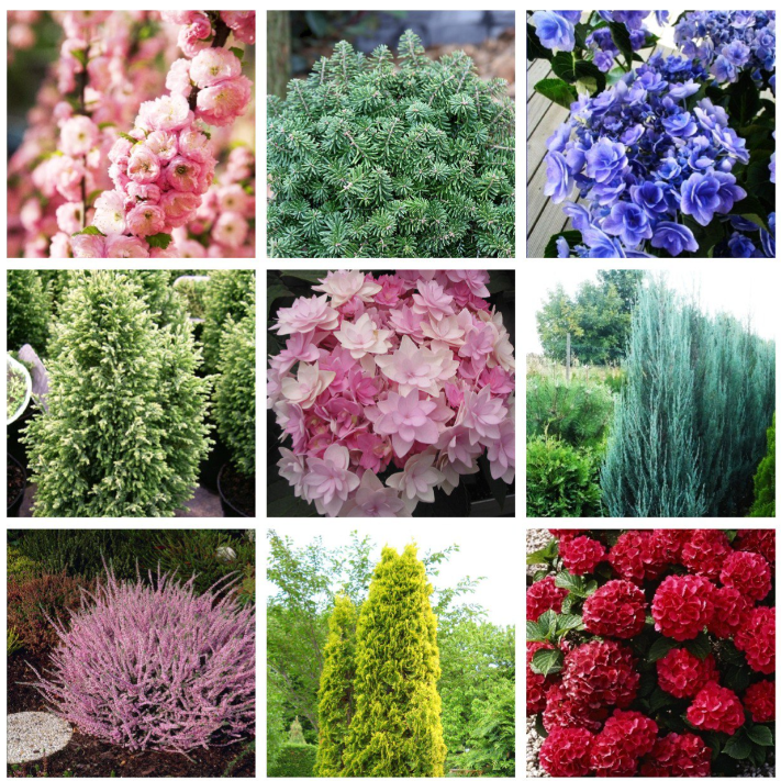 ���� �������. ���������� � �������� ��������� ����� 2026 (�� 23.11)