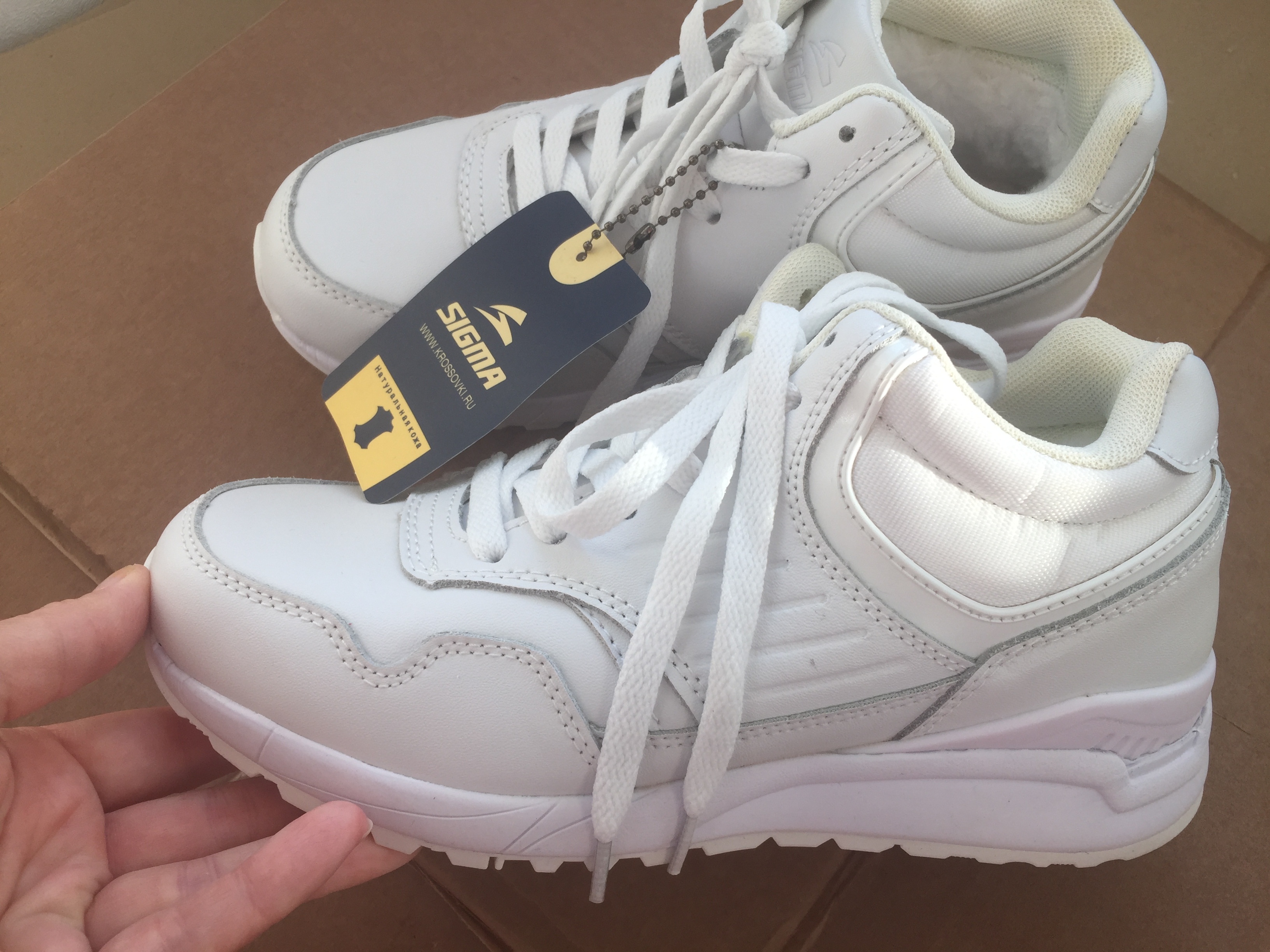 �������� ����� ��������� 36 ���� �� ���� SIGMA  ---�� ���������, ������� �������� ������ ���������! ������� �������� � �� ���� ���� ����� �������