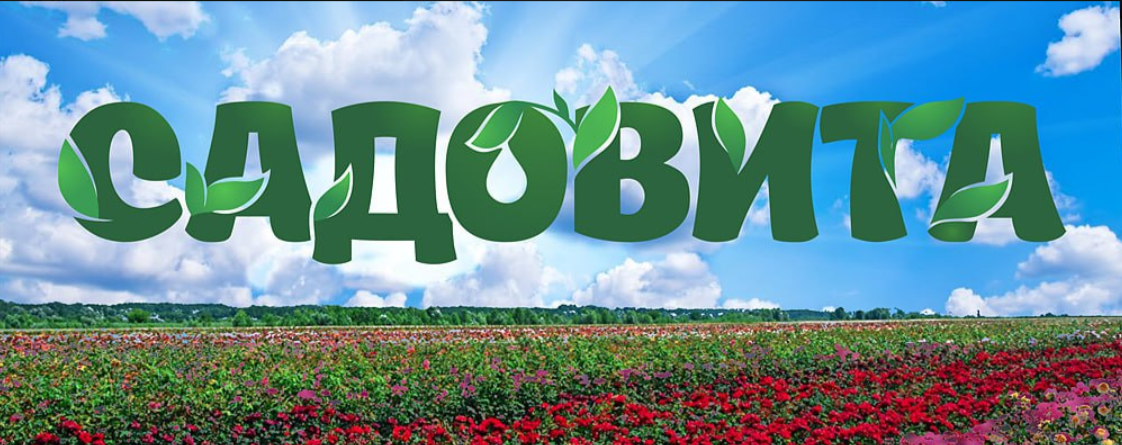 ���� �������. ���������� � ������������ �������� ����� 2026