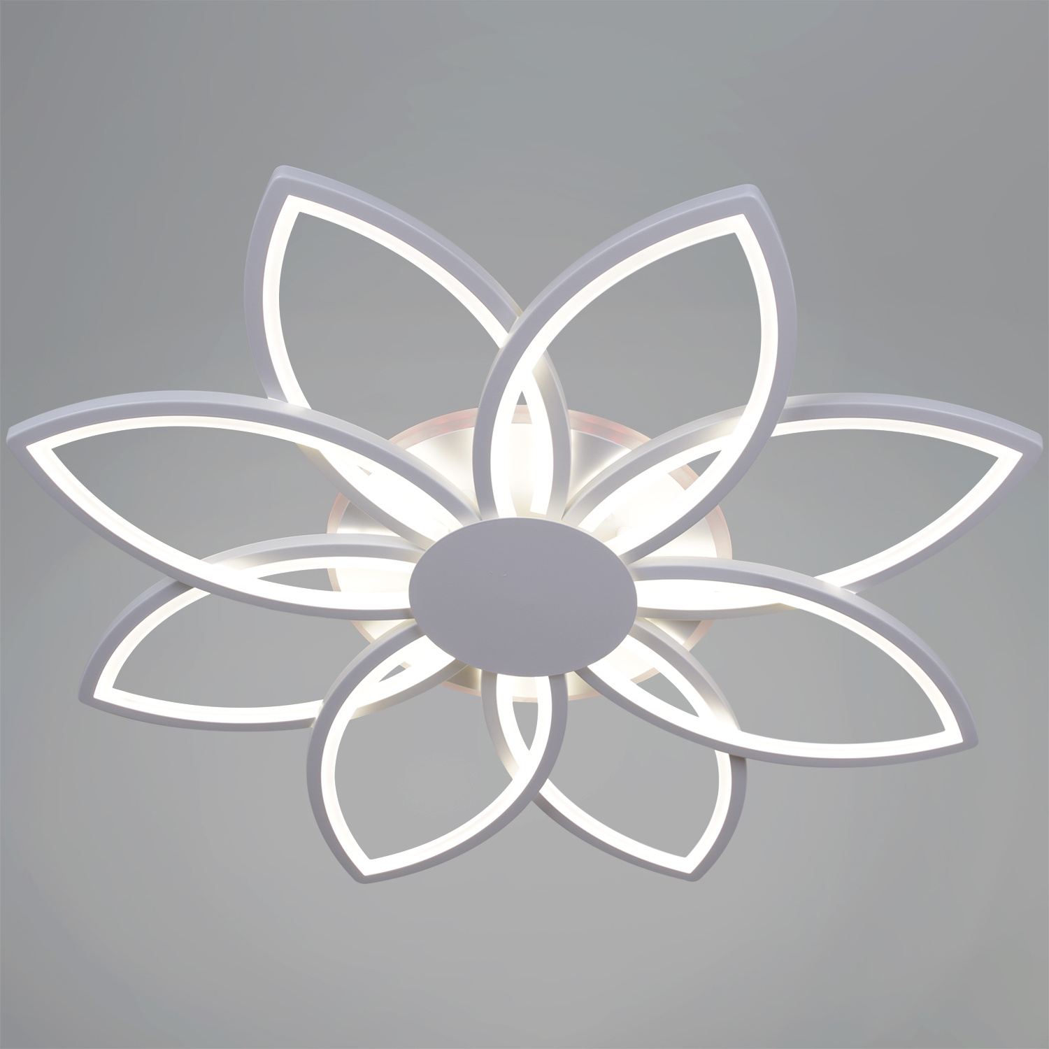 ������ ������������ � ��������. �������. ������� ���������. �������� � ������������� �����������. ����������. ���� � 2 ���� ���� ����������.1225