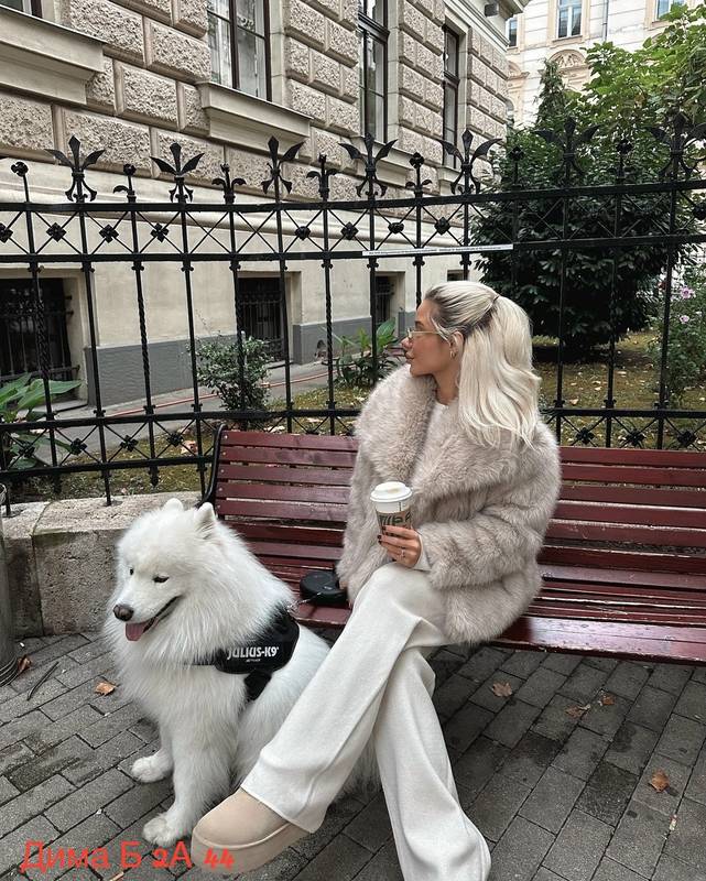 �������! ���� 17/11 ����� 2025. ������� �������� ����������� ������ ������� � �������! ���� ���� ��-346