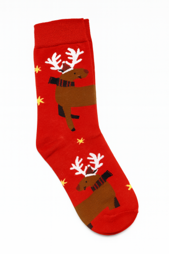 �������� ���������� �������