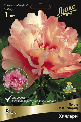 ������������ � ���������� �� ������. �������� �����! ��������� �� ����� 2026.