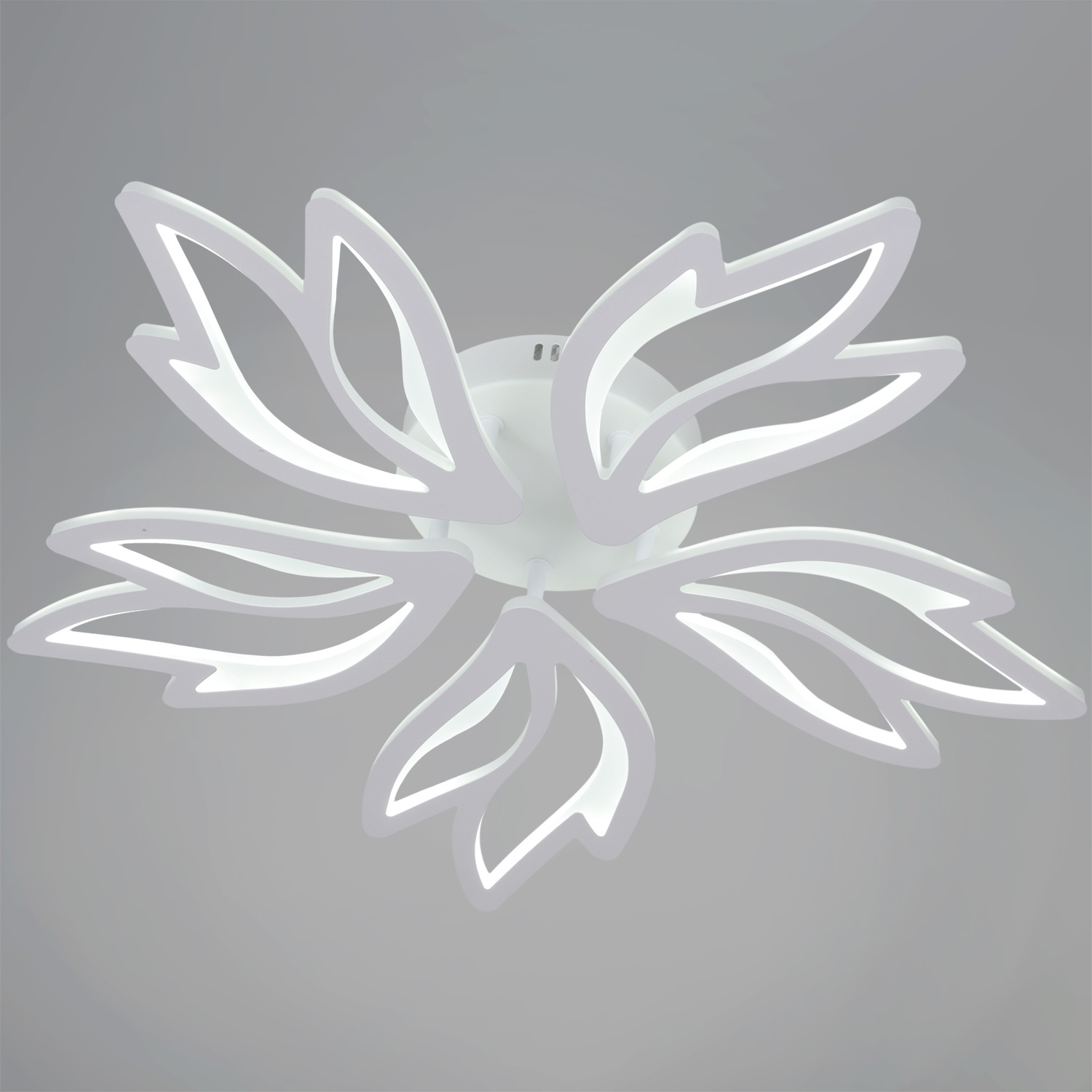 ������ ������������ � ��������. �������. ������� ���������. �������� � ������������� �����������. ����������. ���� � 2 ���� ���� ����������.1425