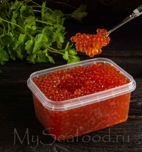 ������� ���� ���� - �������, ������, �����������! ��������� ���������� ������� --- ���� ���� �� ������� ����!