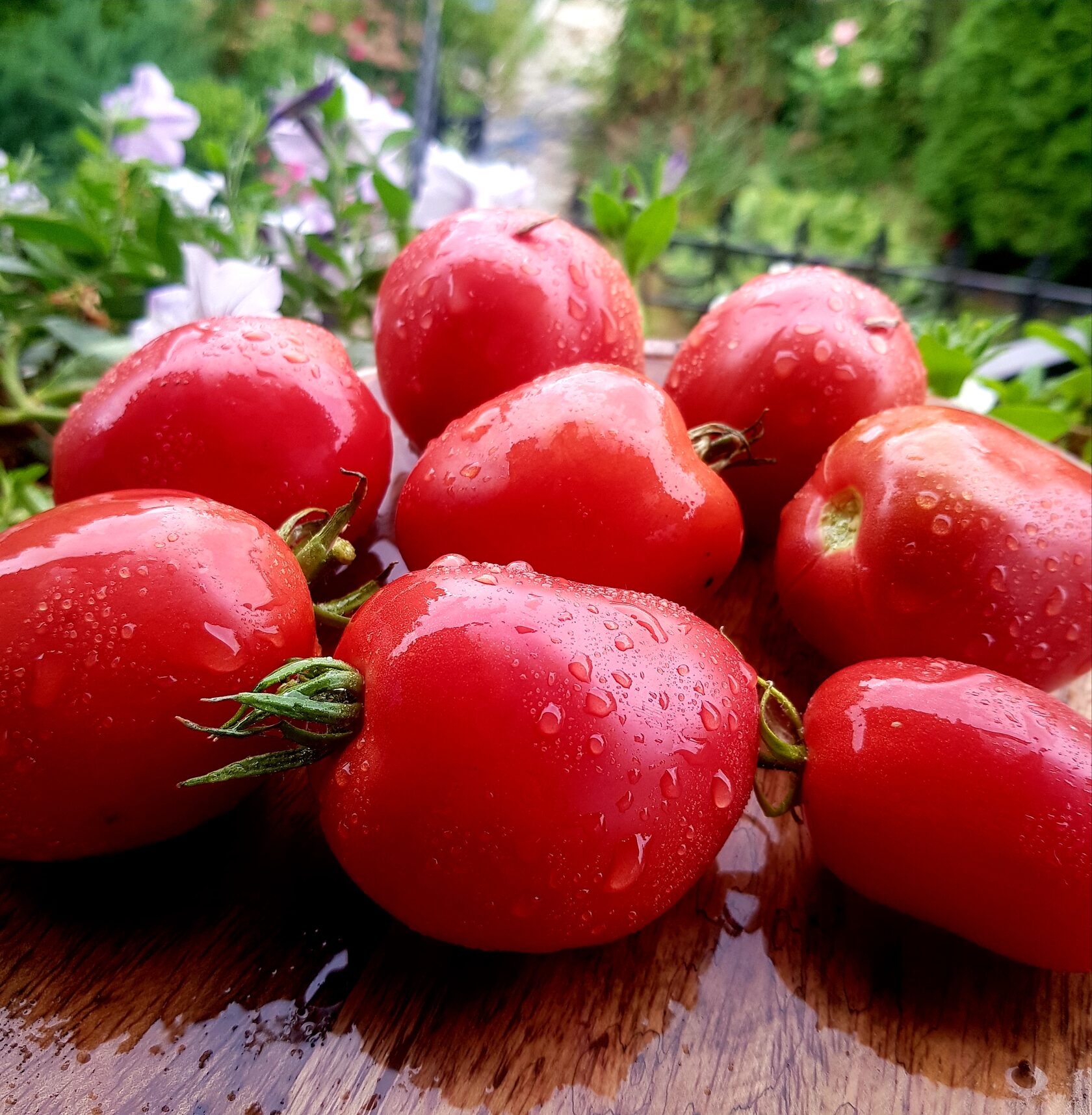 ������������ ������������� ������ ����� ������� �� 55 ���. ����� 2026. ����� ���� ������ �� ��