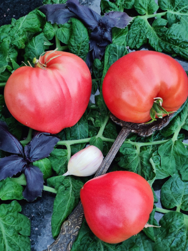 ���� ������� �� 8.12. ������������ ������������� �������� ������ , ����� � ������. �������� ���������� �������.