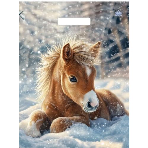 �������� �� �������