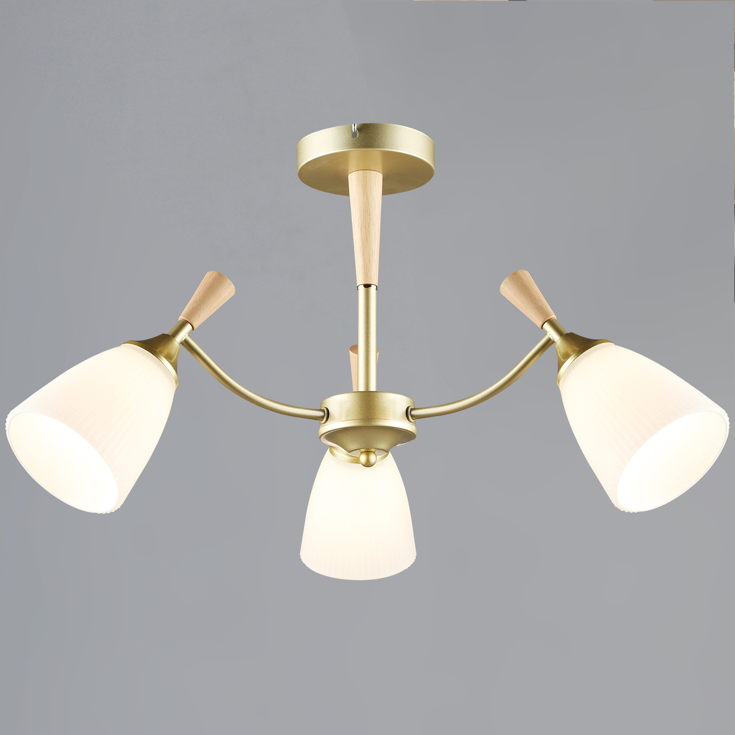 ��������� ������, ������-�������, ���, �����. ���������� �����, c����������� �����, ����.