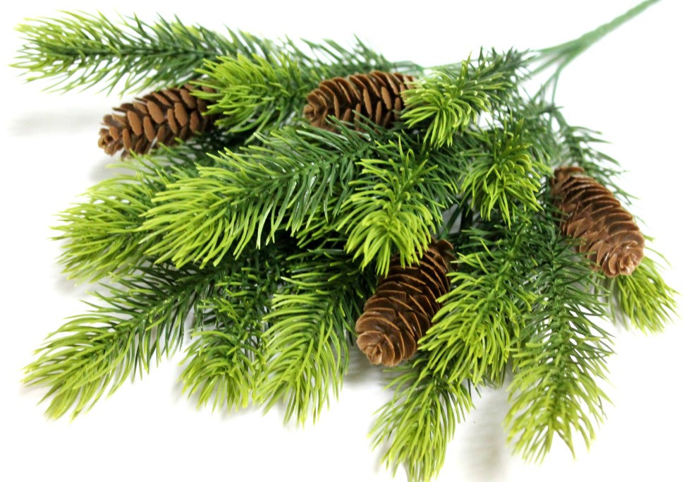 �������� ������������� �����! ���������� ��������! ����� ��� 5 ����� "����������" 5���.38�� - 115 ���.+% �������� 1 �����