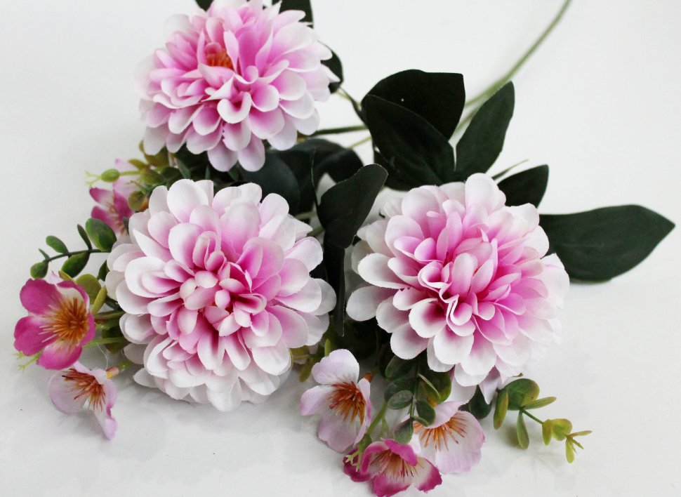 �������� ������������� �����! ���������� ��������! ����� �������� 3�.�������������� � ������.70�� - 175 ���.+% �������� 3 �����! 