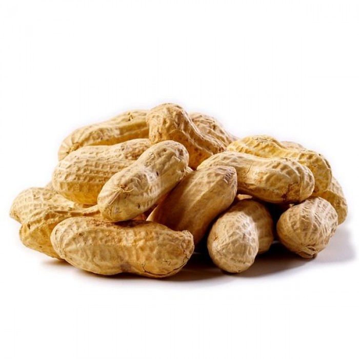 ������ � �������� - 170 ���+��� ���� �� ��