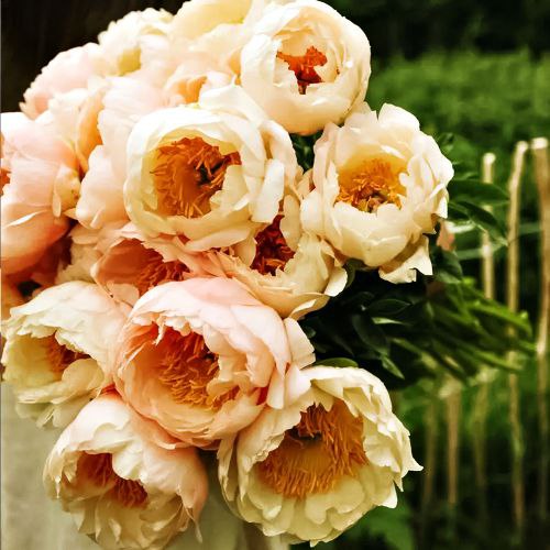 ����� �� ������������ ���������. ��������� �� ����� 2026!