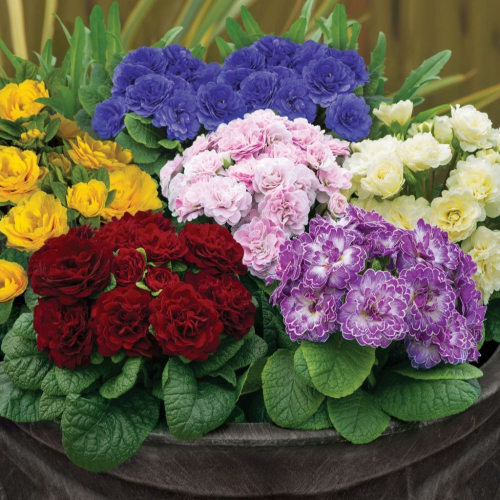 [b]������� ������� �������� ������� ��������, ��������, ������ �����! ������� ����������� �����!!![/b]