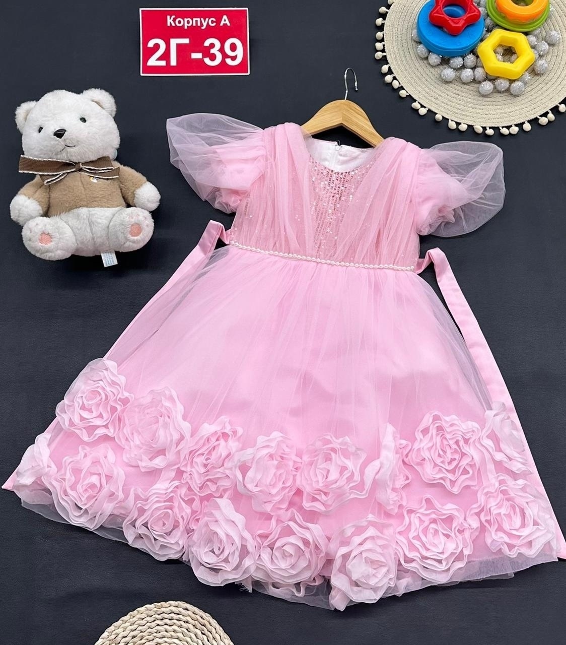 ����� ���! ���� ������� �������-24 