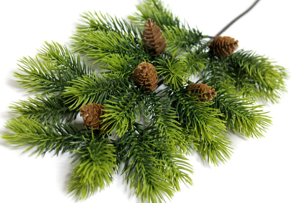 ���������� �������� �� ������������� ������! ���� ��� � ����! �12045 �/� ����� ��� 5 ����� "�����������"45�� - 129 ���.+% �������� 2 �����