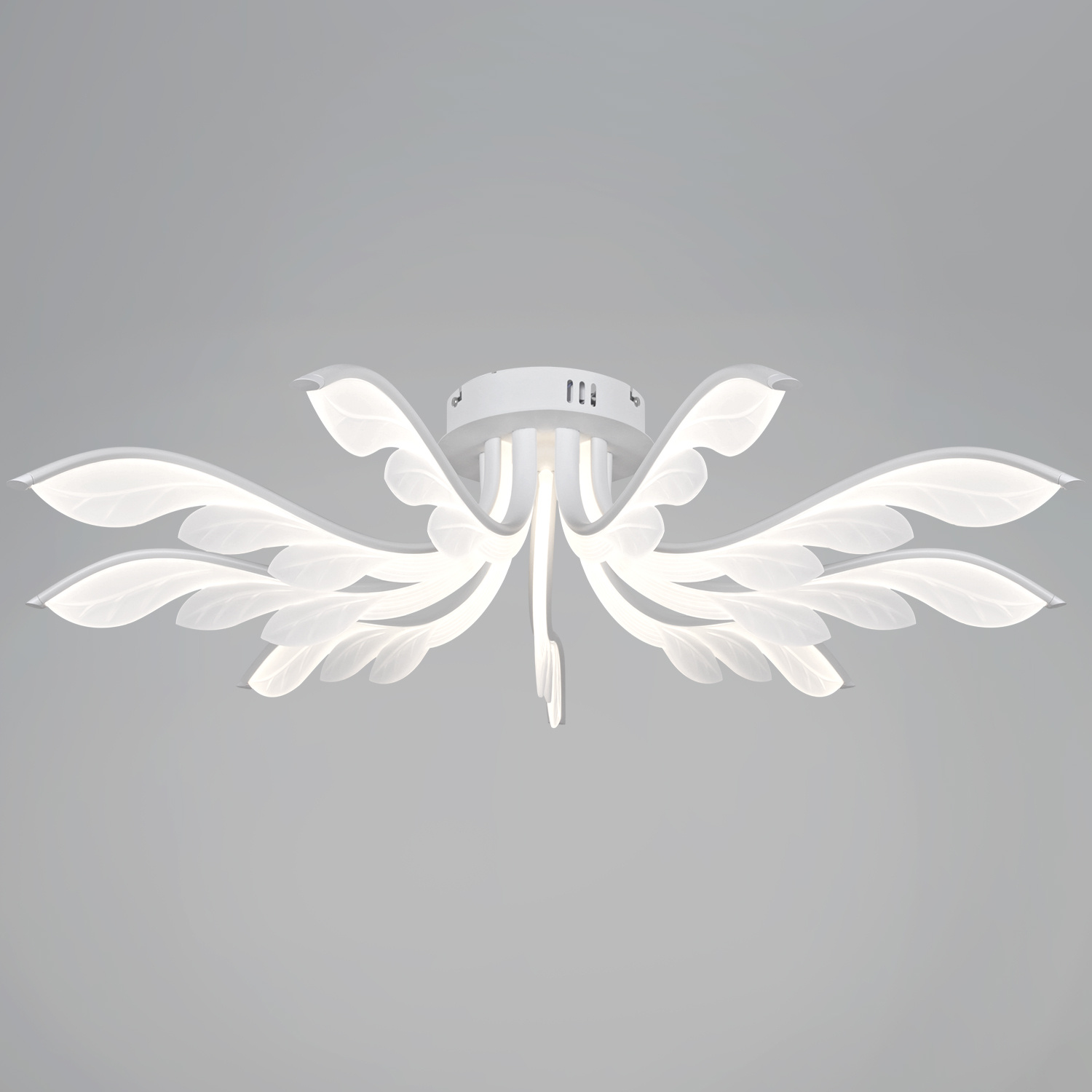 ������ ������������ � ��������. �������. ������� ���������. �������� � ������������� �����������. ����������. ���� � 2 ���� ���� ����������.1425