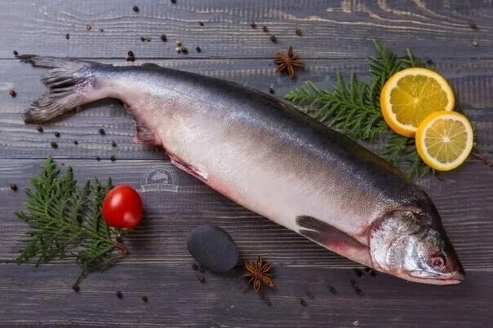 ������� ���������� ,����� � ����������� �����!!!��������� ���� � �������� �� ��!!!�������� ������� ��� �������!