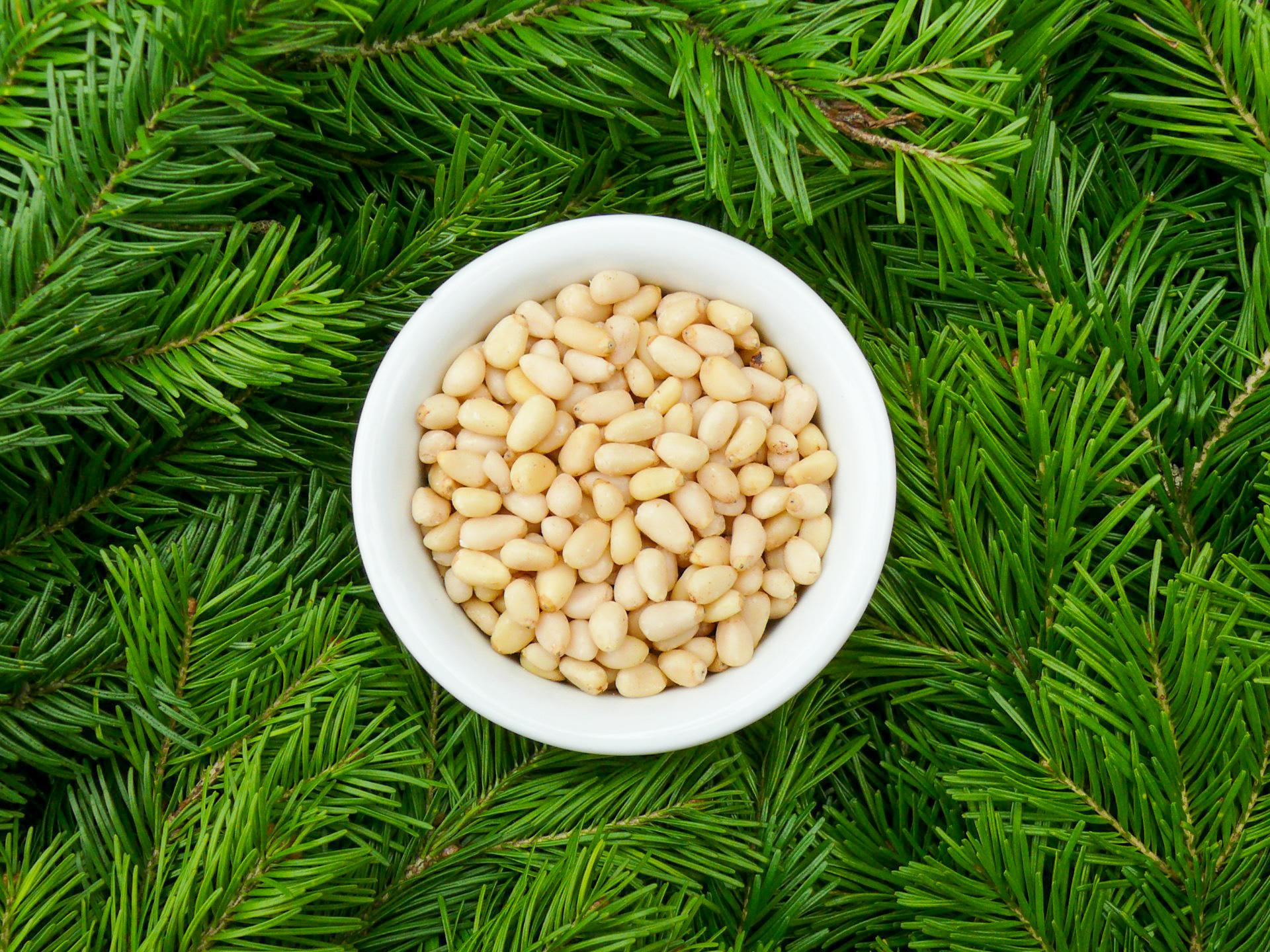 �������� �������� ������� �� ����� ���! � ����! 