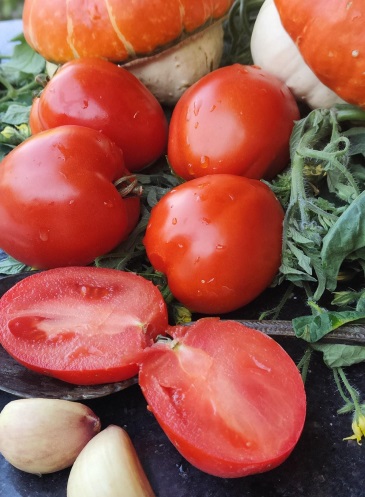 ������������ ������������� ������ ����� ������� �� 55 ���. ����� 2026. ����� ���� ������ �� �� 