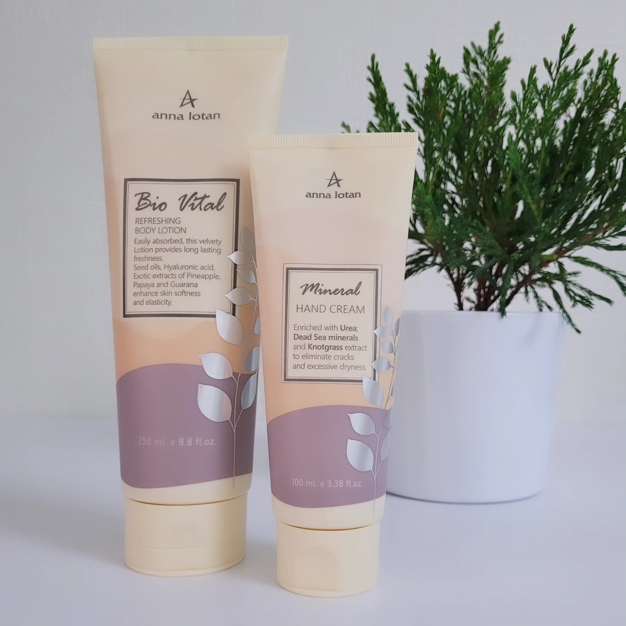 Eldan ,Christina , GIGI , Janssen, Anna Lotan, Juliette Armand, Beauty Style, Sesderma, Histomer, LeviSsime , Gehwol , Babor - ������� ������ ����.��������� ��� ���� � ���� - 1/26 