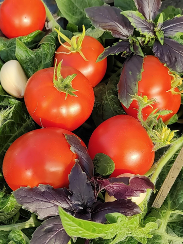 [b]����� � ������� ������������� �������� ������, ������ � �����. ������������ � ������ �����. 26-1[/b]