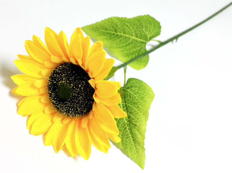 �������� ������������� �����! ��������� �������! ��������� ��������� 67�� - 49 ���.+% �������� 3 ������!