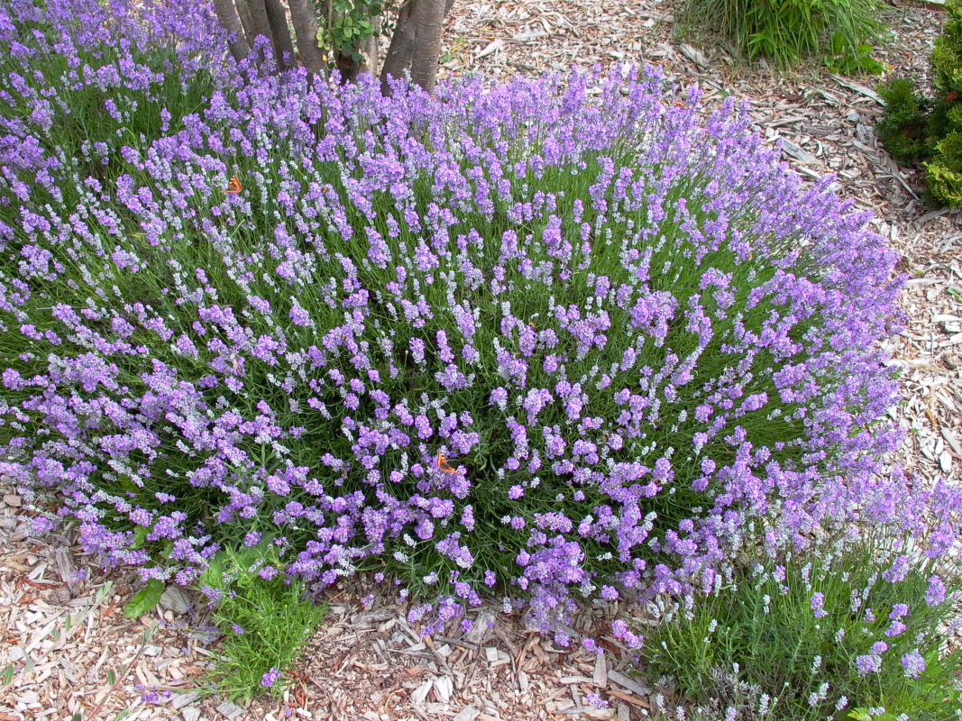 ���� �� ����� 2026. ������������ � ������. ���������, �������, �����������, ���������, ��������, ���������, ������������, ������� - ����������� � �������� ��������) �, �������, �������