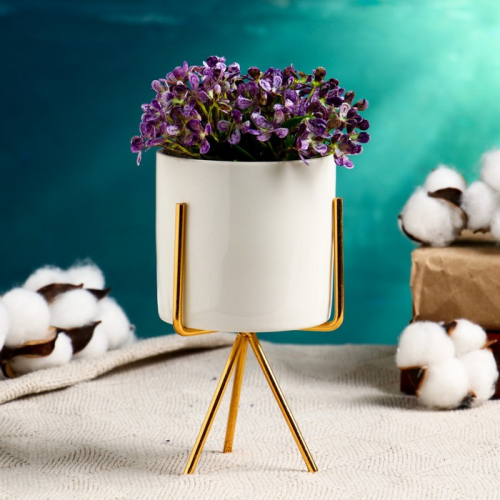 �� 14.01 ��� ��� ���������� � ����� ��� ��� ���� � ������.������, ���������,�����������, ���������. ����� ��������.�����-78