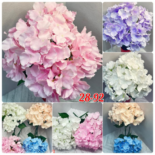 ������������� ����� �� 17 ���-8