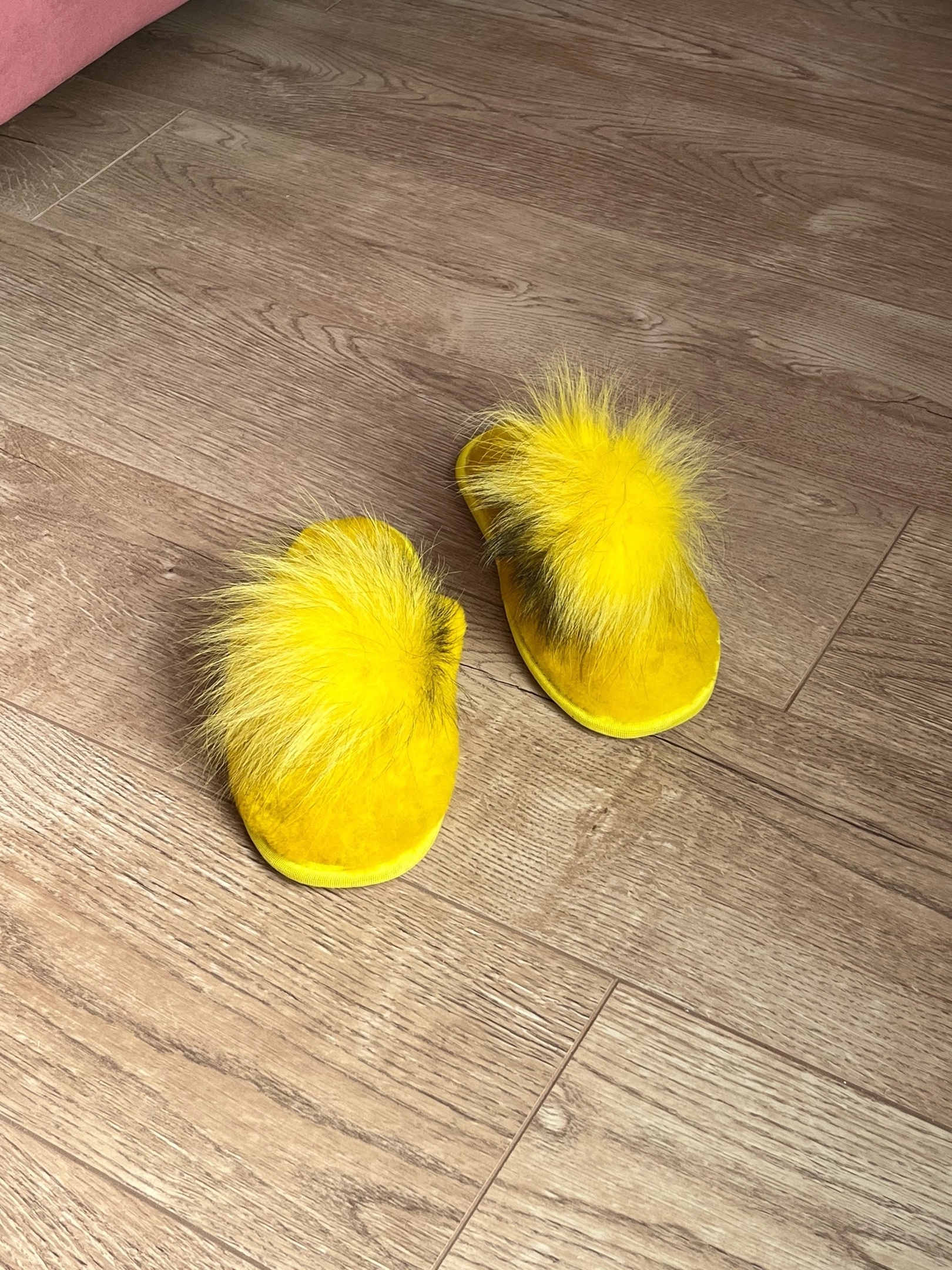 ���� �� 21.01. ���� � ������� �� ������ � ��� ���� ��� ���� �����. ������ �������, ����� � ��������. ��� �����. � 43.