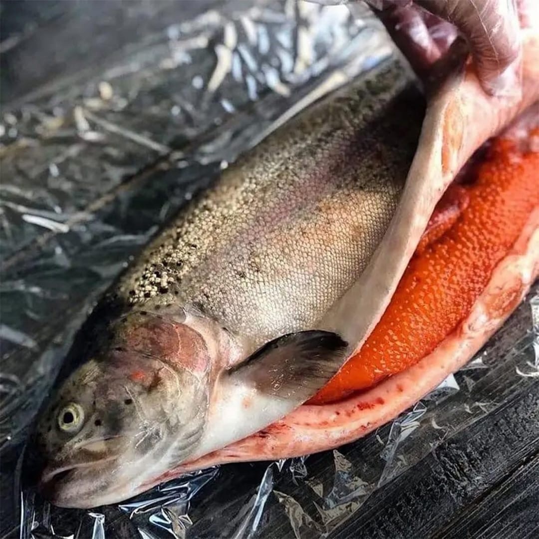 ����������� ������. ���������� ��������. �� + �������� � �����.