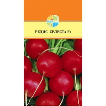 �� 27.01 ������ ������ � ������ �� ���������!������� ������ ��� ���������!�������� ��������� �� ����� �������!!!