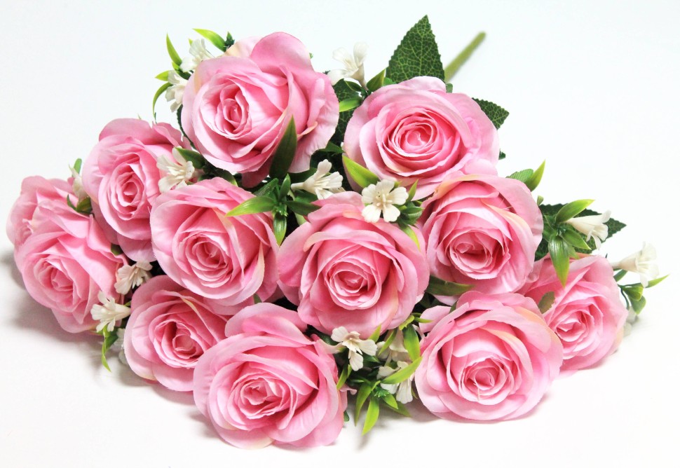 ����� �������� ������������� ����� � ������! ��� ���������� � ���������! ���� �� 10 ���! ����� ��� ������ - ���� ��� ����! ���� �������!