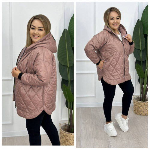 �������! ���� 19/01. ����� 2026! ������ ������� ������� ������� ������.-24   