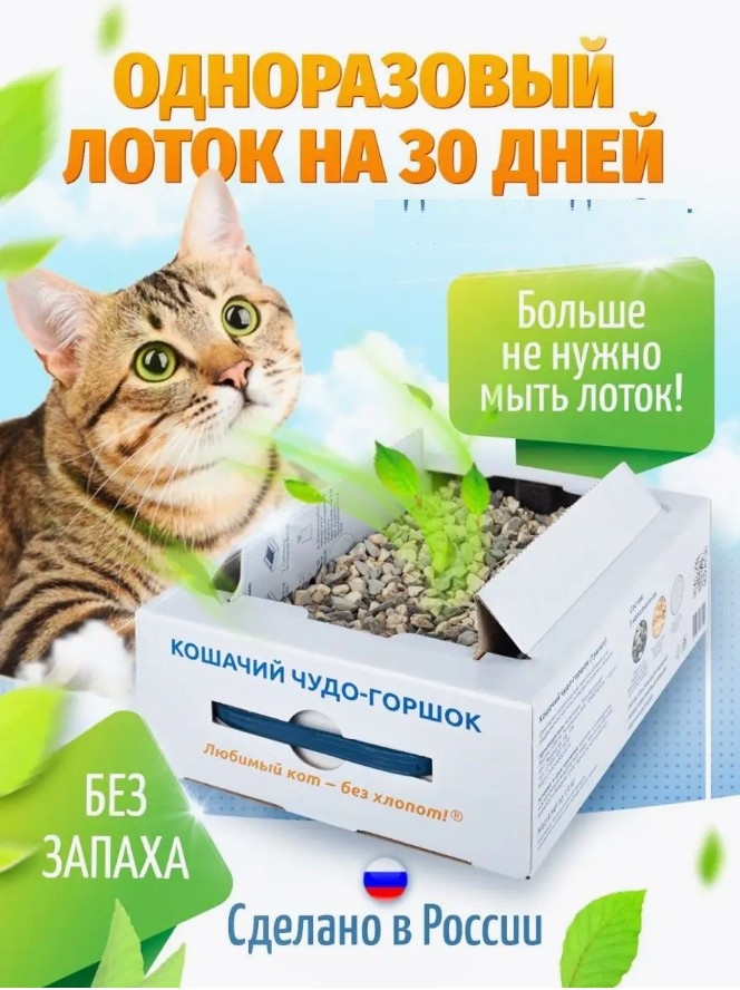 ��*����� ��� - ��� ������! ����������� ������� ������. ������ �� ���� ���� �����! ������� �������!