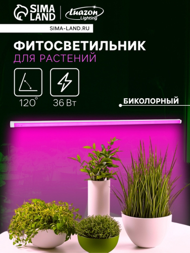 �� 28.01 ��� ��� ���������� � ����� ��� ��� ���� � ������.������, ���������,�����������, ���������. ����� ��������.�����-80