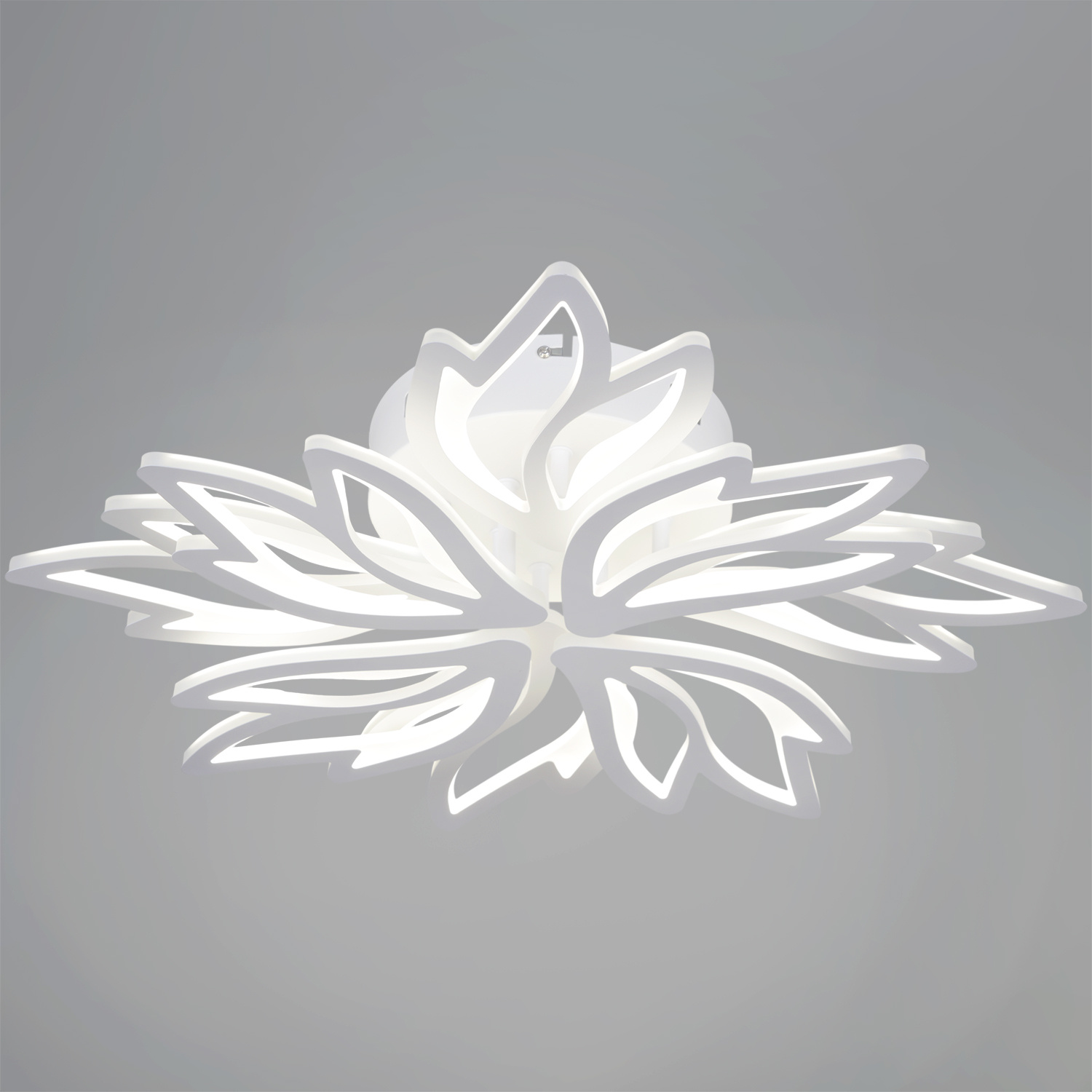 ������ ������������ � ��������. �������. ������� ���������. �������� � ������������� �����������. ����������. ���� � 2 ���� ���� ����������.226