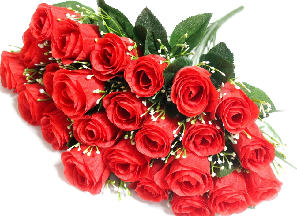 ��������� ����! �������� 2 ��������! �12242 ����� 24 ������, ����� ����� ����� "�������" ������� 50��.