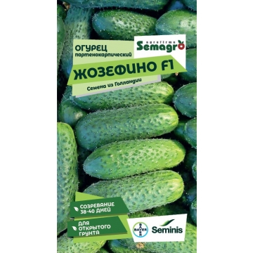 �� 03.02 ������ ������ � ������ �� ���������!������� ������ ��� ���������!�������� ��������� �� ����� �������!!!