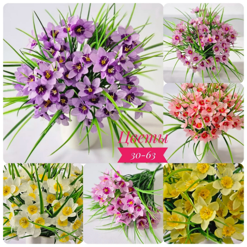 �����! �������� 55 ���!!! �������� ��� �� ������ �����!