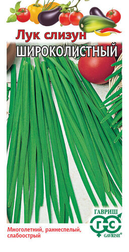 ���!) ��� ������ ������������� // ������ 15 ���. �����������