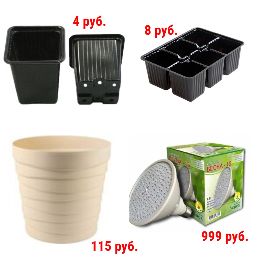 ��� �������